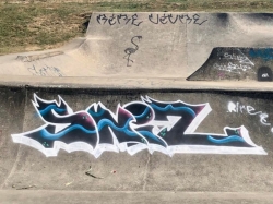 11 sunz - graffiti skateparc.jpg
