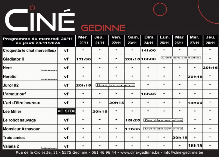 wellin,commune,cinéma,gedinne,ciné-gedinne,ouverture,film,programme,blog,province,luxembourg,namur,philippe,alexandre,asbl,salle,sortie,nationale,première