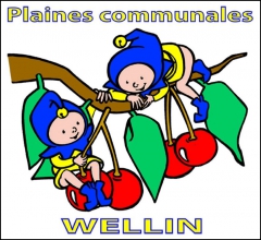plaines communales wellin 2014.jpg